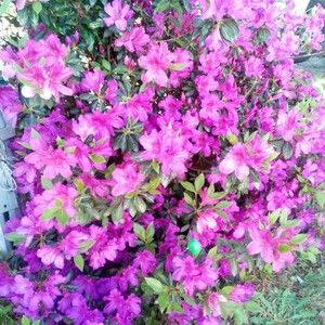 Meet your Posher, Mildred